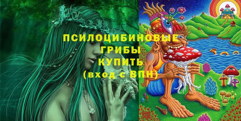 Галлюциногенные грибы Magic Shrooms  дарнет шоп  Морозовск 